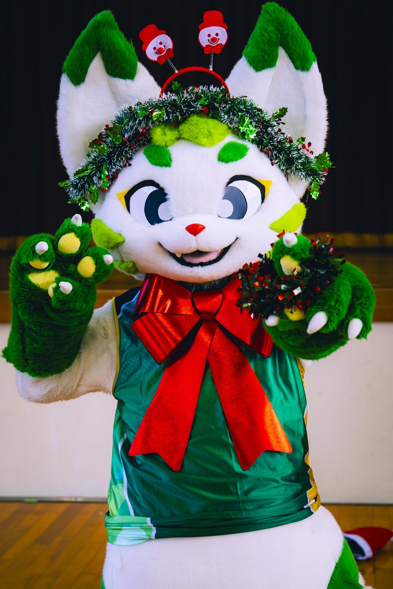 茶々丸 (@chachamaru_reef) / Posts / X