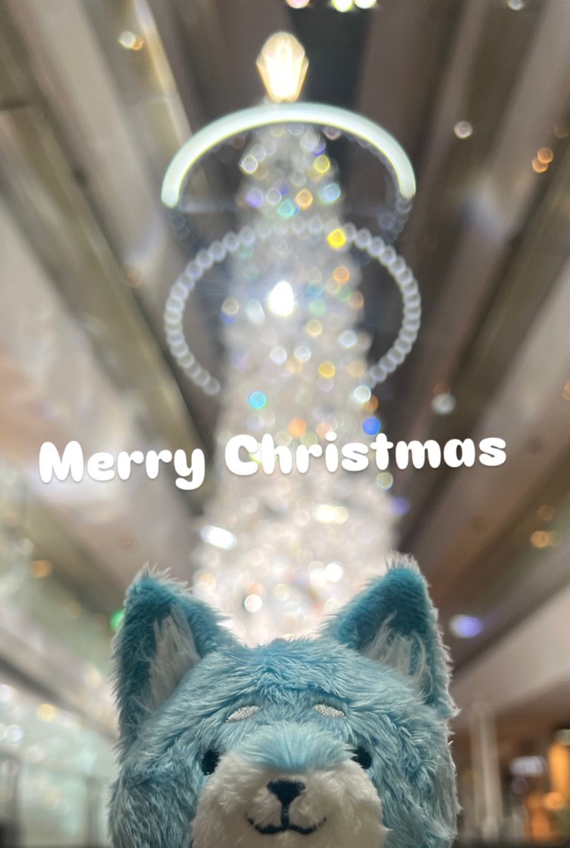 MAHO FILM tweet media