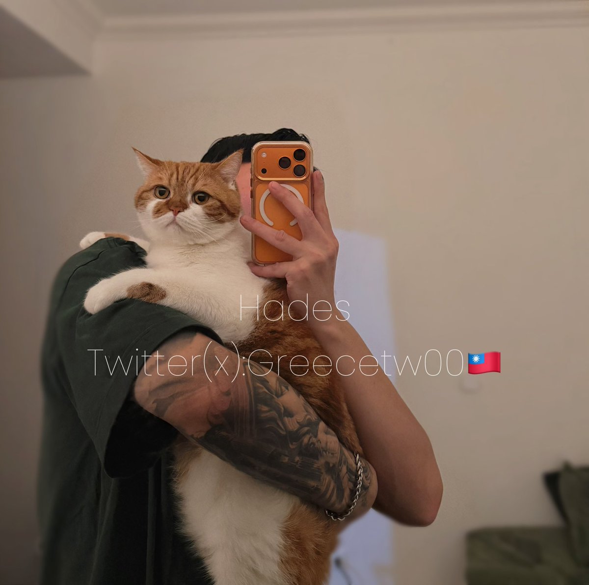 黑帝斯ℋ𝒶𝒹𝑒𝓈 tweet media