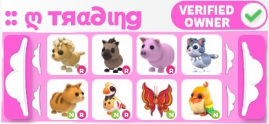 lia ๐ 206 proofs tweet media