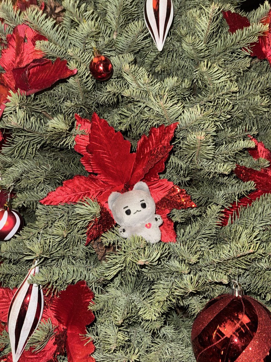 씰롱이 tweet media