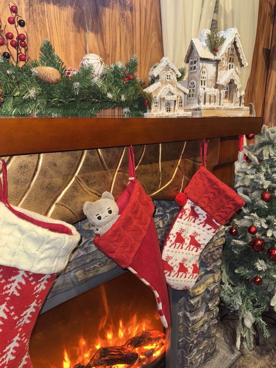 씰롱이 tweet media