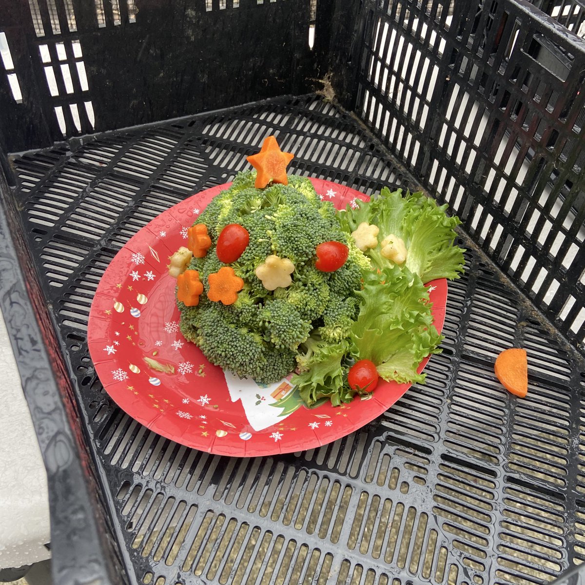 クリスマスパーティーは無事たくさんのギャラリーに見守られながら開催されました🎄