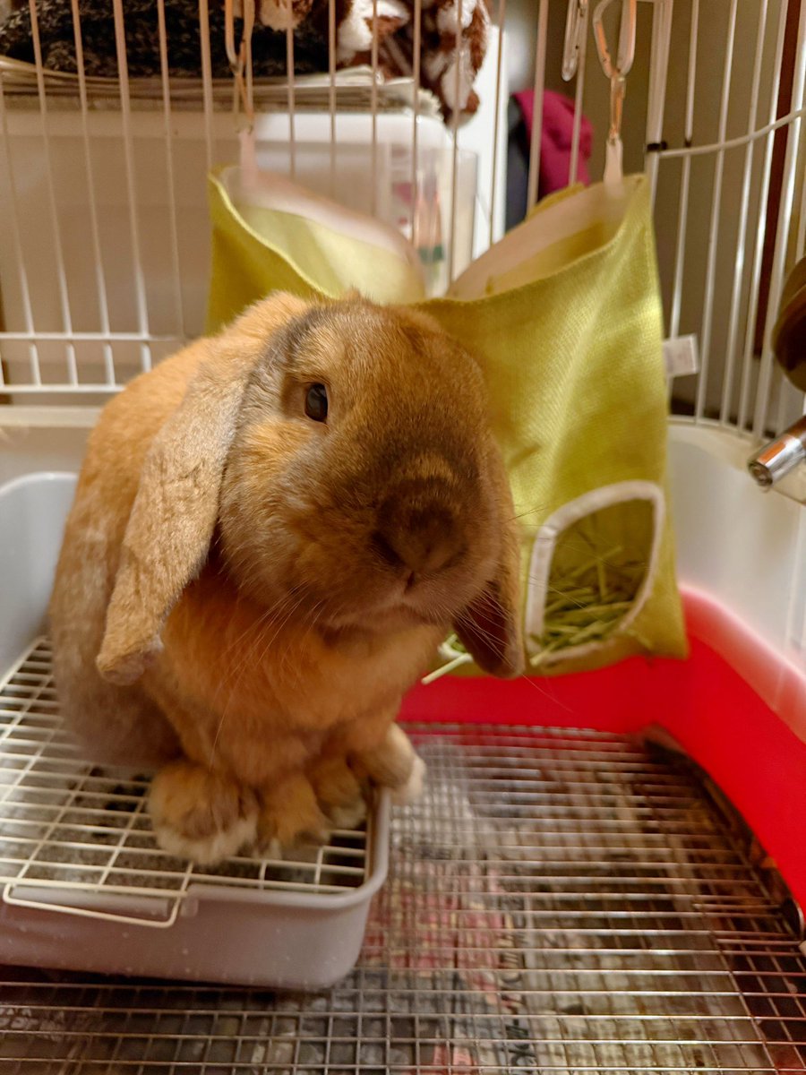 メリークリスマス🎁
なにもあげないよ（笑）