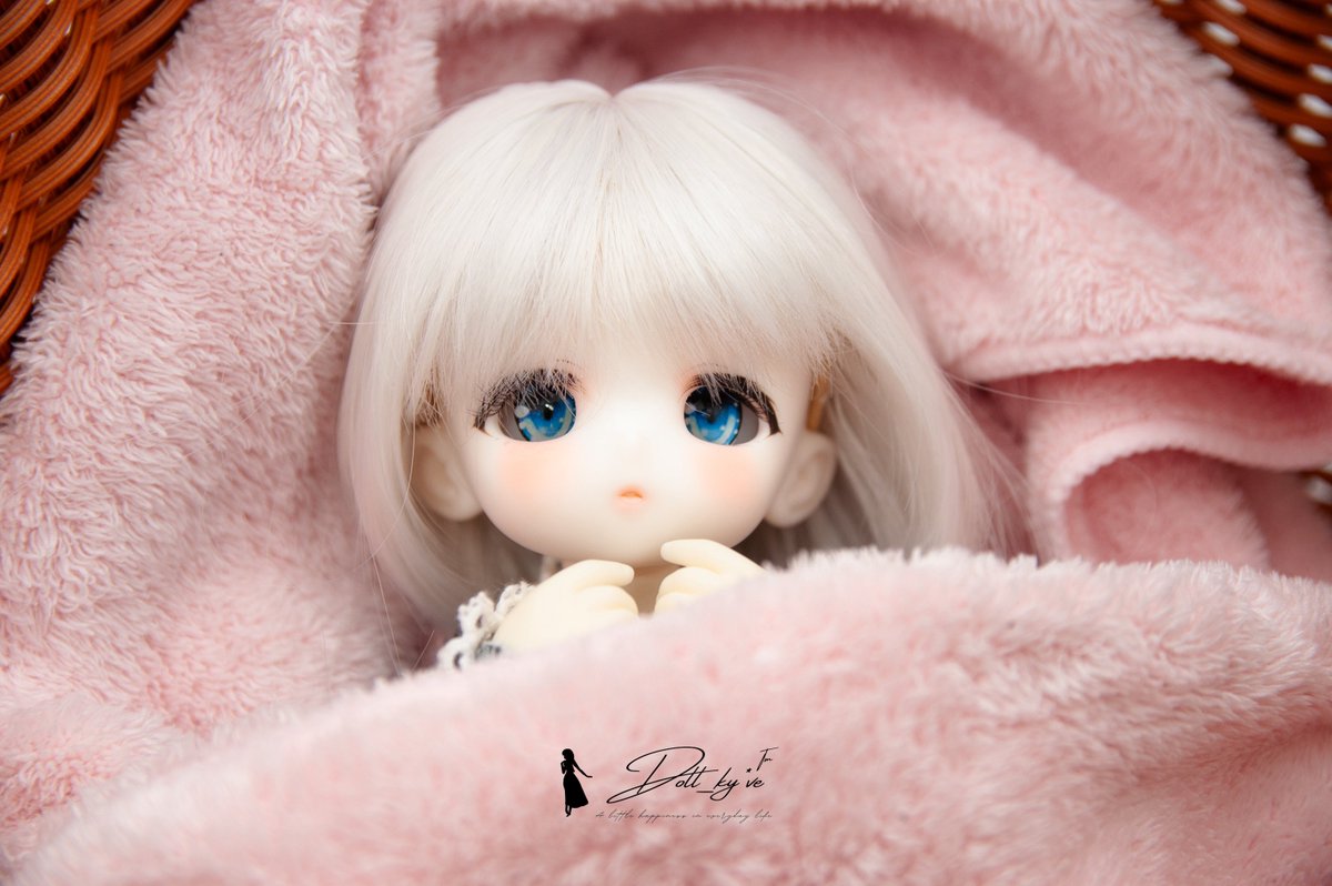 りりこ (@Forestlily_) / Posts / X