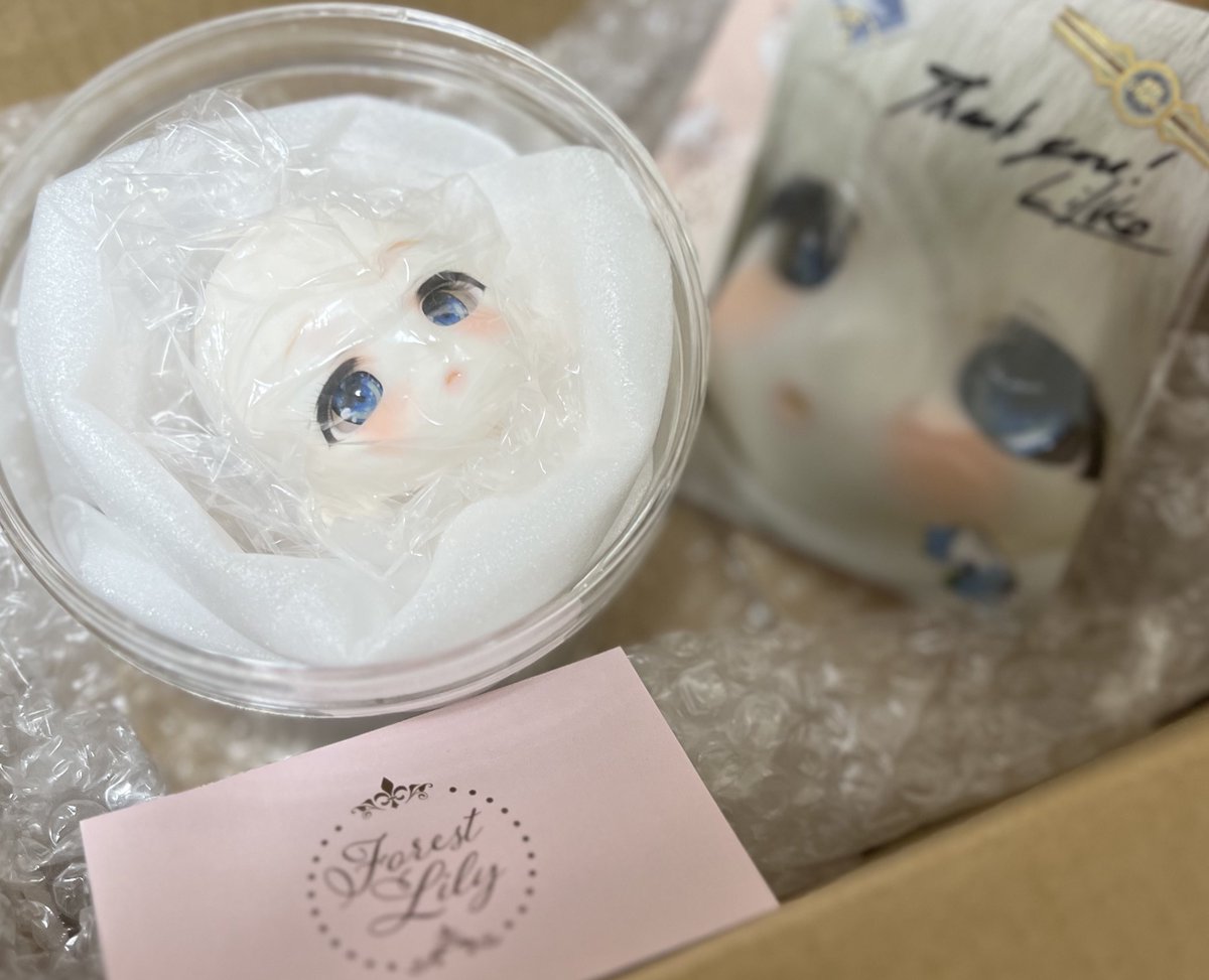 りりこ (@Forestlily_) / Posts / X