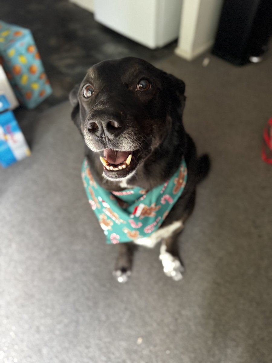 SmolCosmic tweet media