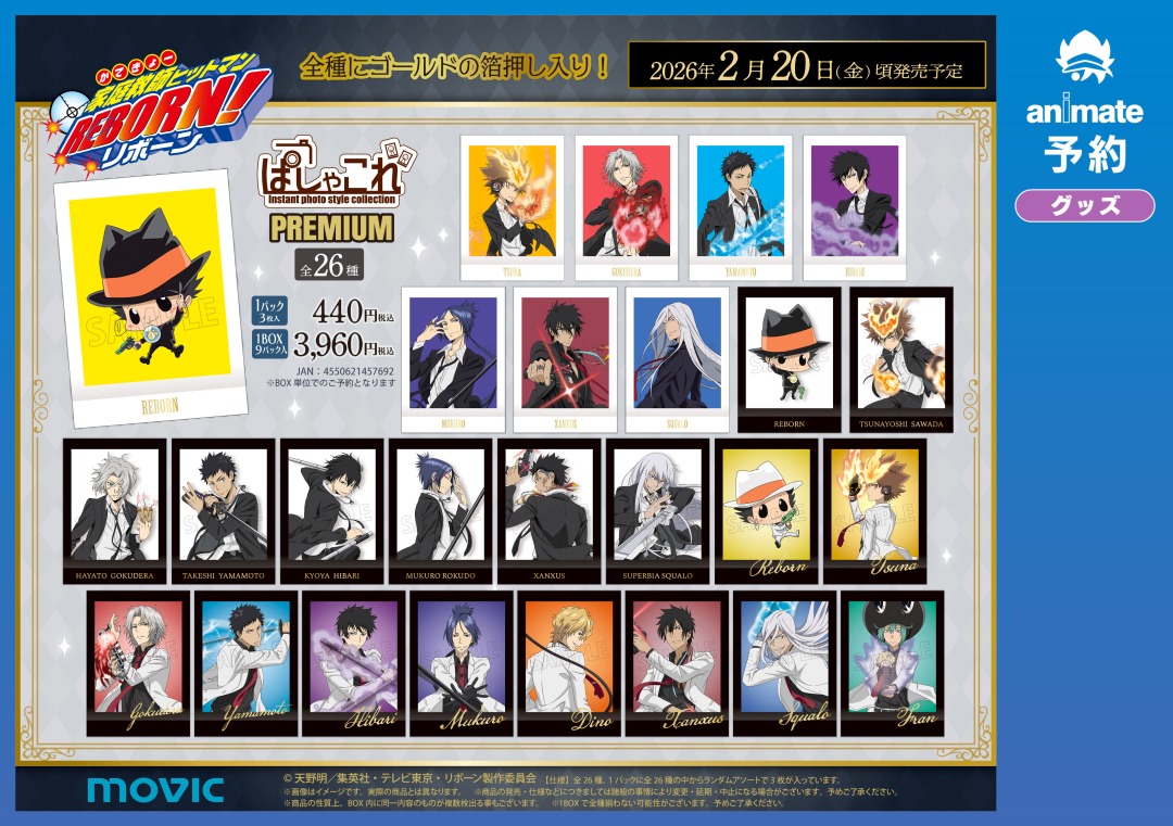 ぱしゃこれ【公式】 (@PashacolleT) / Posts / X