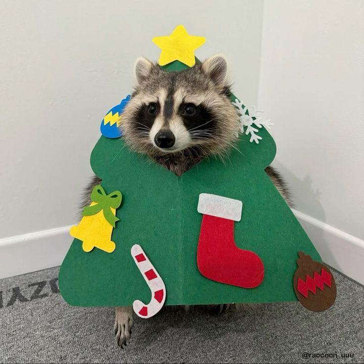 Merry Christmas! Hope you all have a good day today!