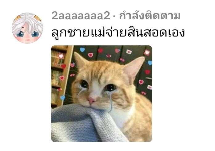 จากคนที่ตามเก็บค่าสินสอดทุกคลิปในวันนั้น 5555