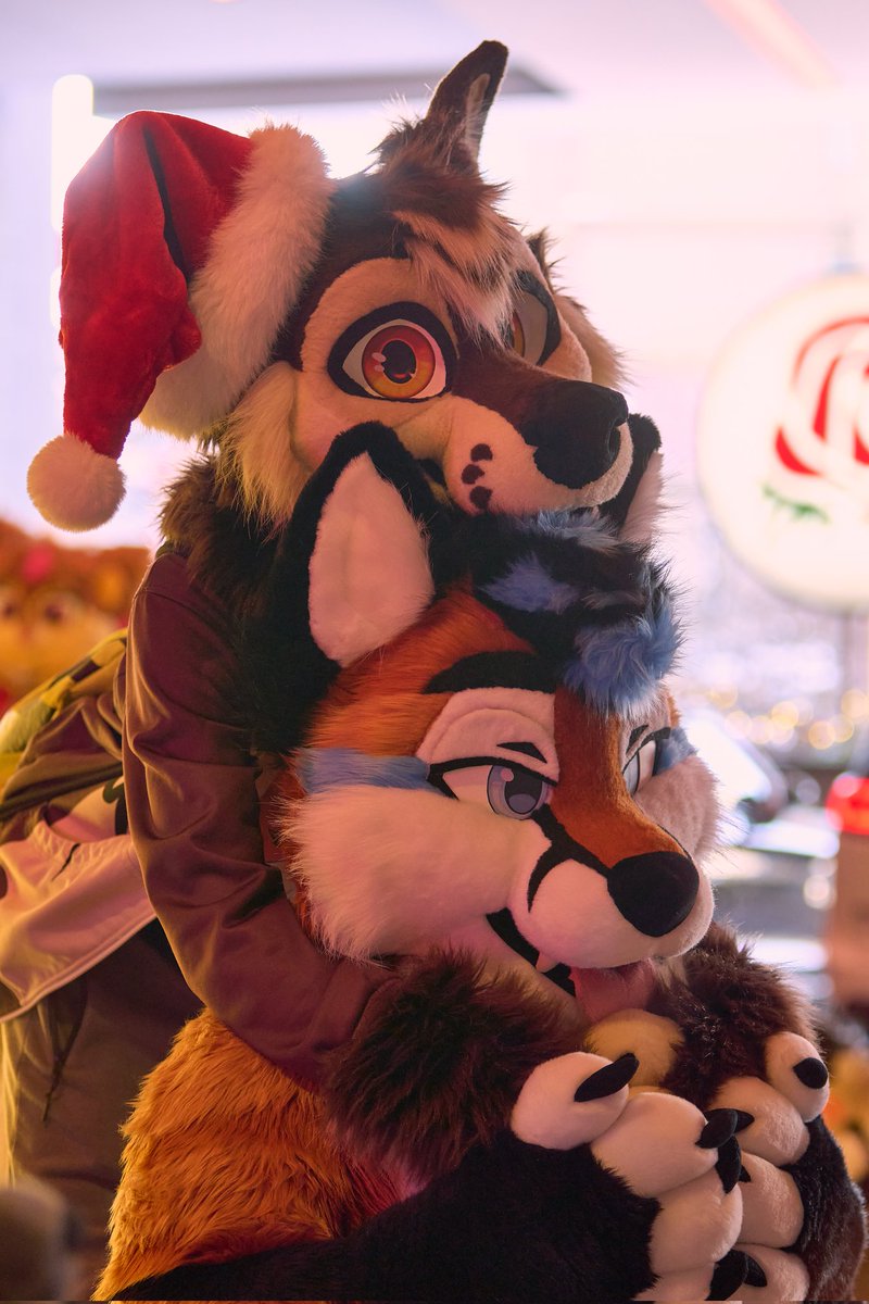 Ari 🦊 🔜 ANE (@FoxNamedAri) / Posts / X