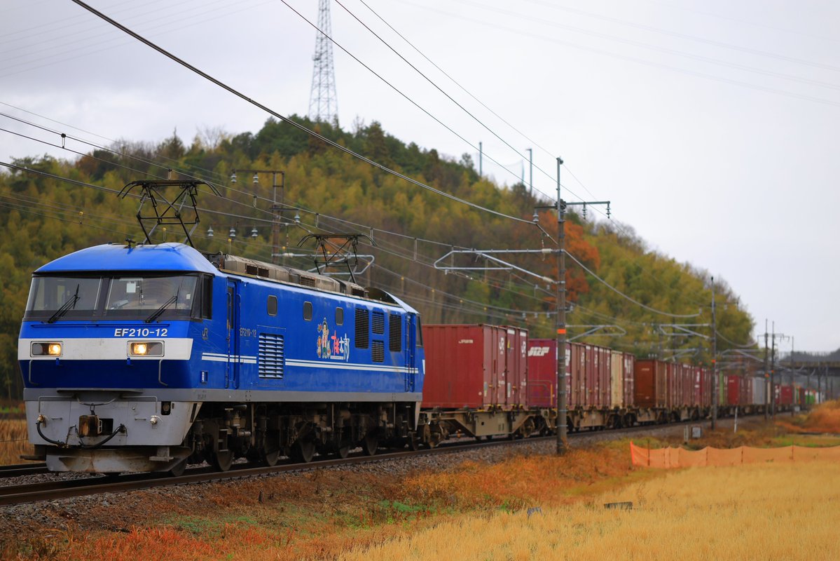 レレレのじいさん (@timajuku1) / Posts / X