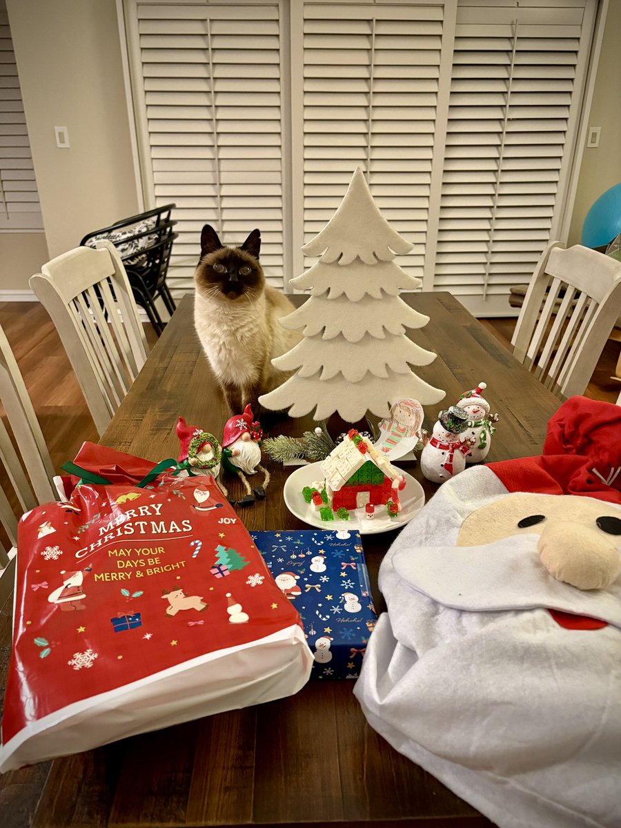 しんコロ/しゃべるねこ、しおちゃん (@theoshio) / Posts / X