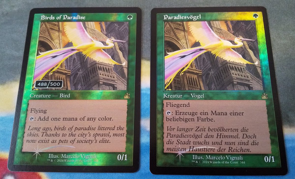 シェオルドレッドの心酔者、ローナ　【ダブルレインボウ】　シリアルナンバー ダブルレインボウ・Foil】(146)《囁く者、シェオルドレッド/Sheoldred