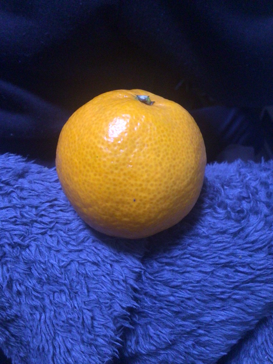 Image for the Tweet beginning: 💬 推活おばあちゃん さんからの投稿📝

美味しいミカンが今年も食べられる平和

#わたしの平和宣言 