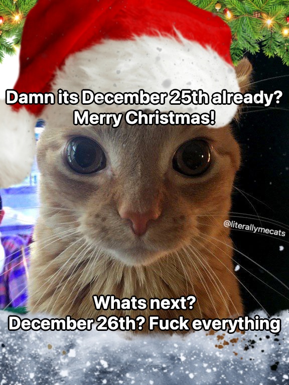 Merry Christmas