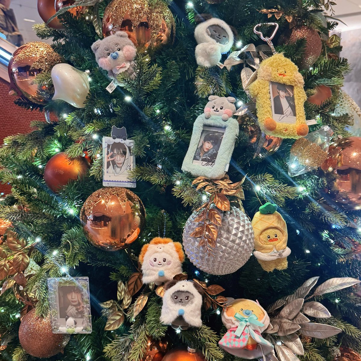 메리 크리스마스⋆✴︎˚｡⋆

⋆꙳·❅·*₊⋆☃︎·*❆₊⋆
지웅이가 제일 좋아하는 크리스마스🧣🧸🎀🎄