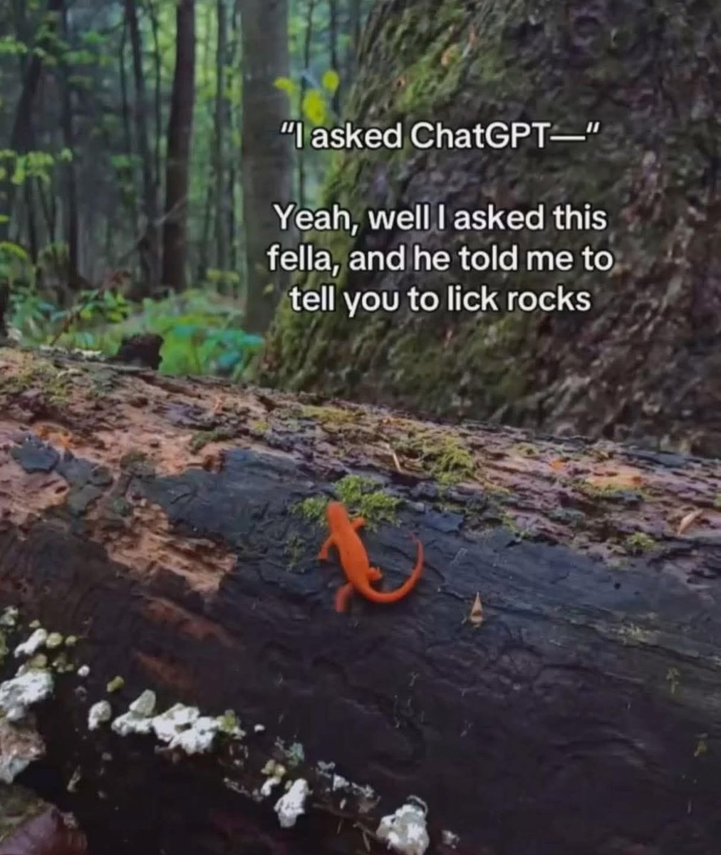 Respectful Memes (@respectfulmemes) on Twitter photo 