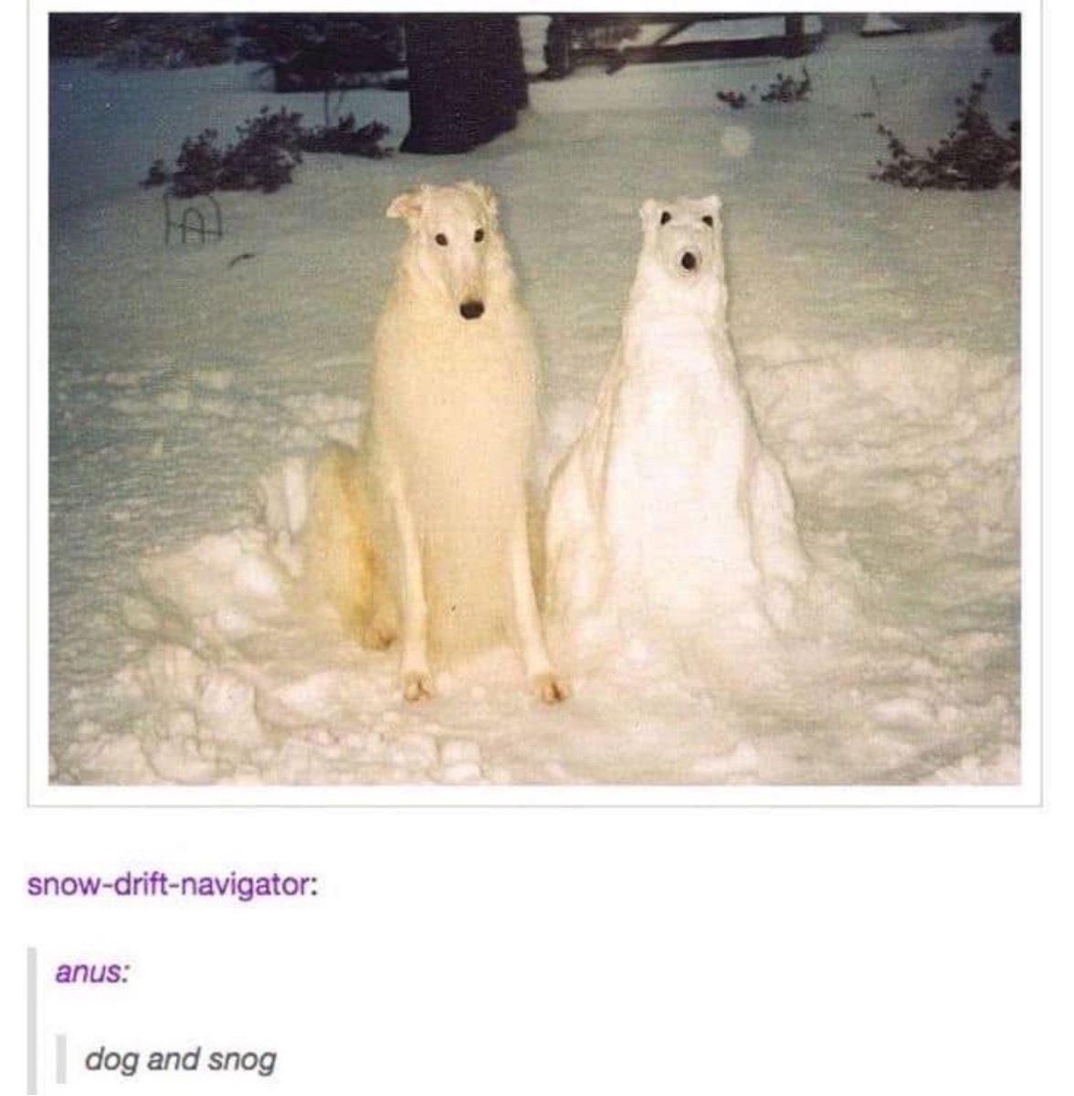 RespectfulMemes's tweet image. 