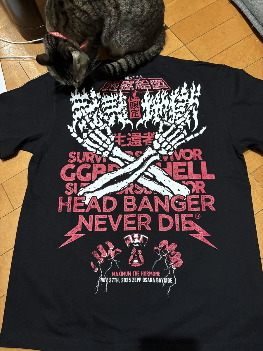 生還者Tシャツ届いた！ プルーフは入ってなかった😭 #マキシマムザ