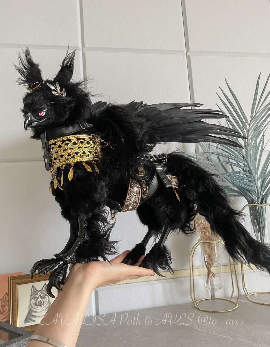 Post by yuki_zeno on X: 素晴らしい！！