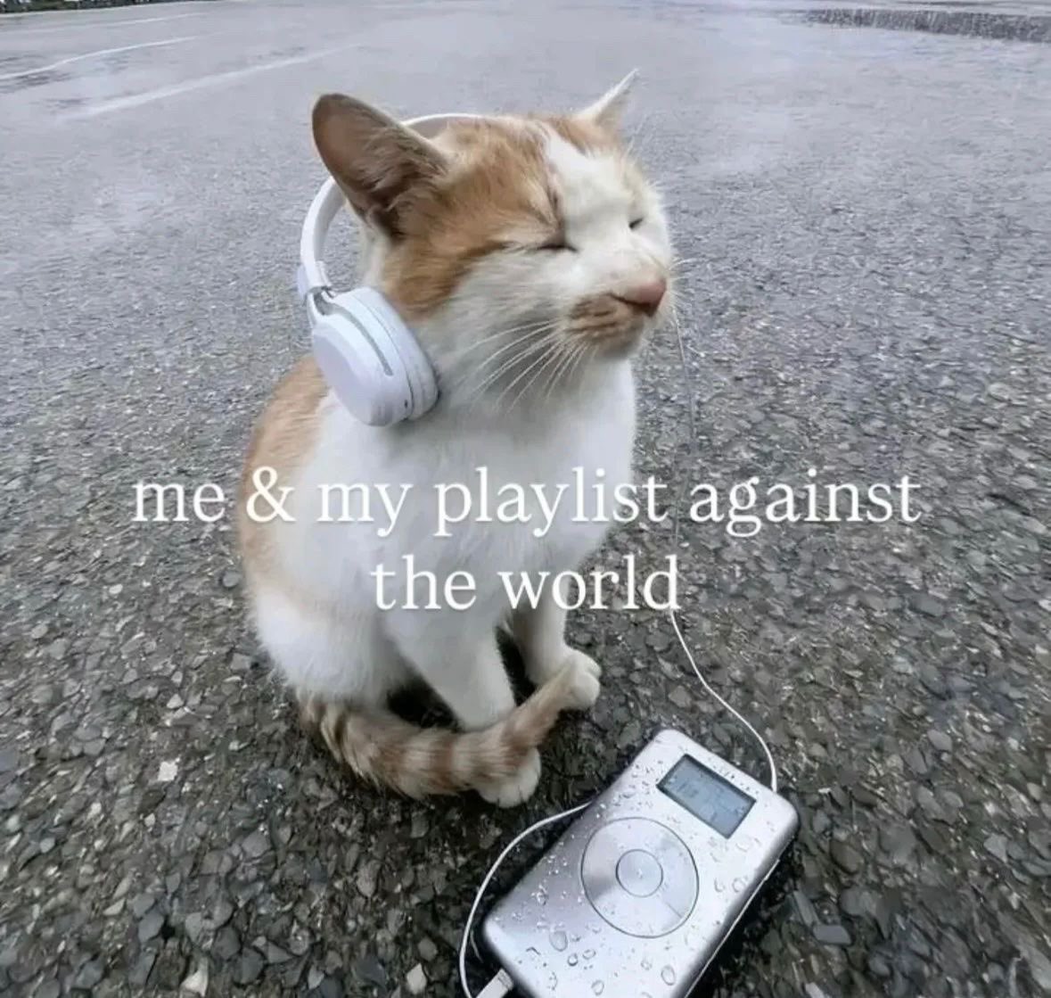 lunacs (@lottuns) on Twitter photo 