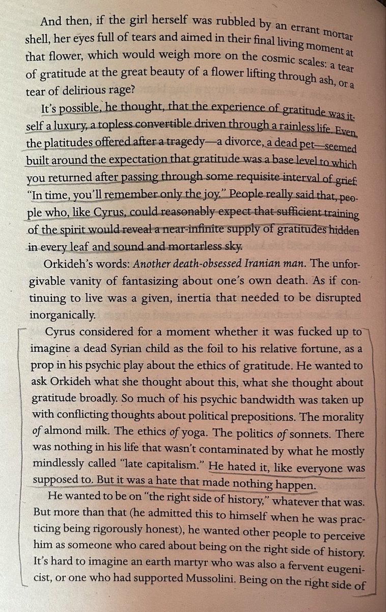 yourlocaldaadi's tweet photo. My apologies, Milord @jackbenedwards , I once again underestimated how consistently impeccable your recommendations are. Everyone, consider this a sign to pick up Martyr!. It’s beautiful, devastating, and at times far funnier than it has any right to be. https://t.co/qqGO3CnFFo