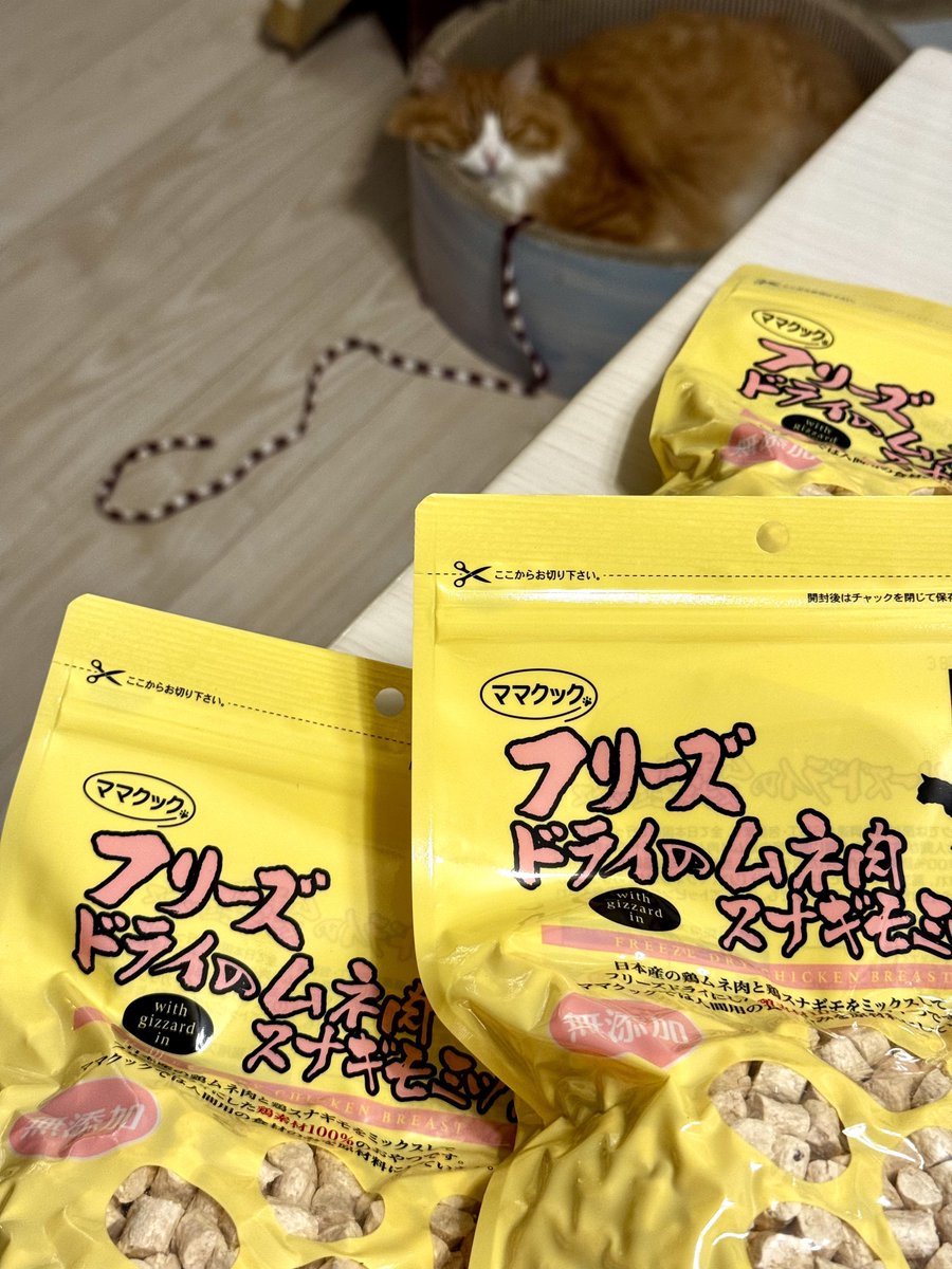 まぁおじさん(まーINFINITY) (@ma_oji0909) / Posts / X