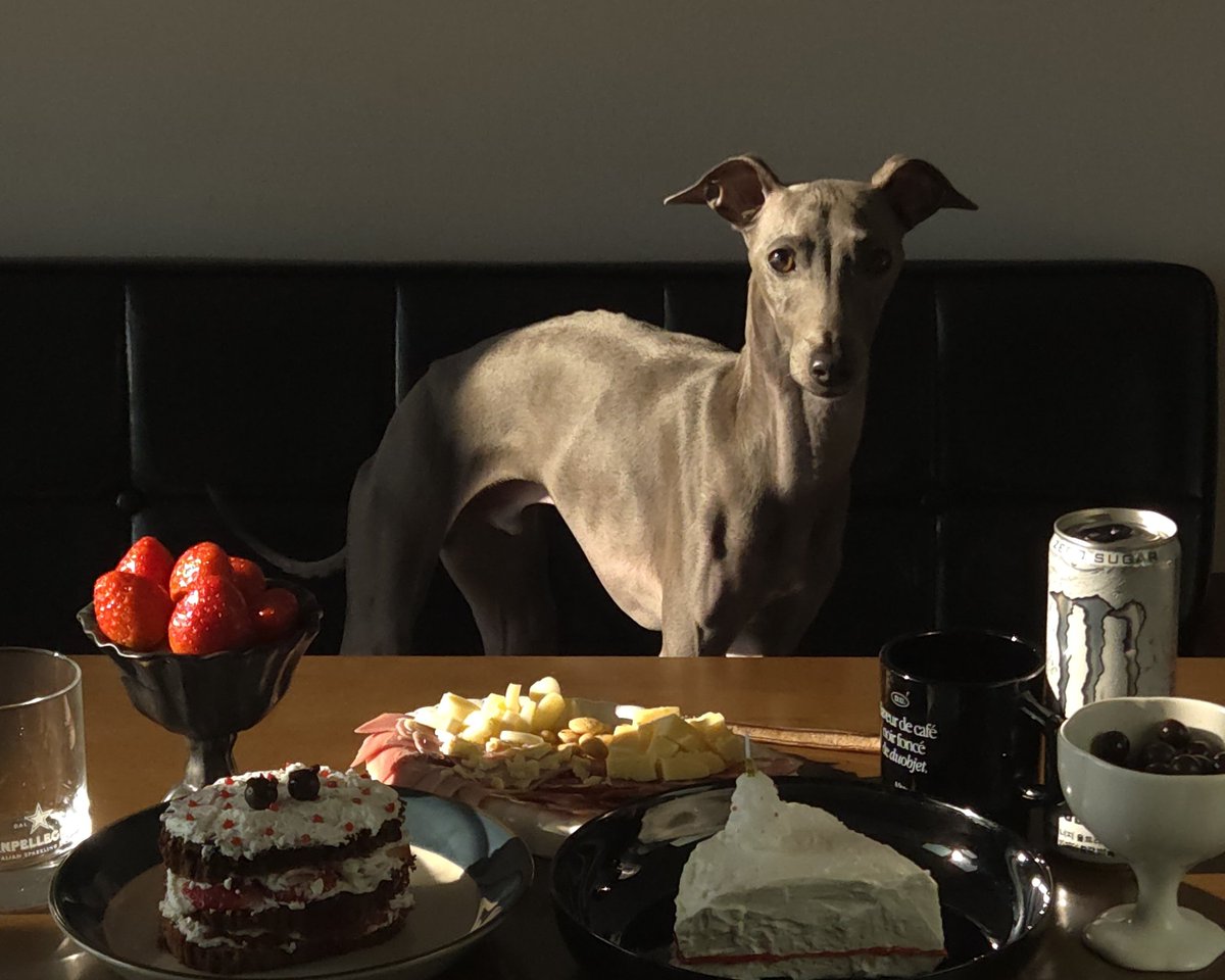 우리파이 tweet media