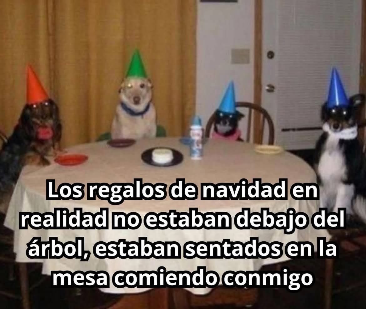 DiloConPerritos's tweet image. 