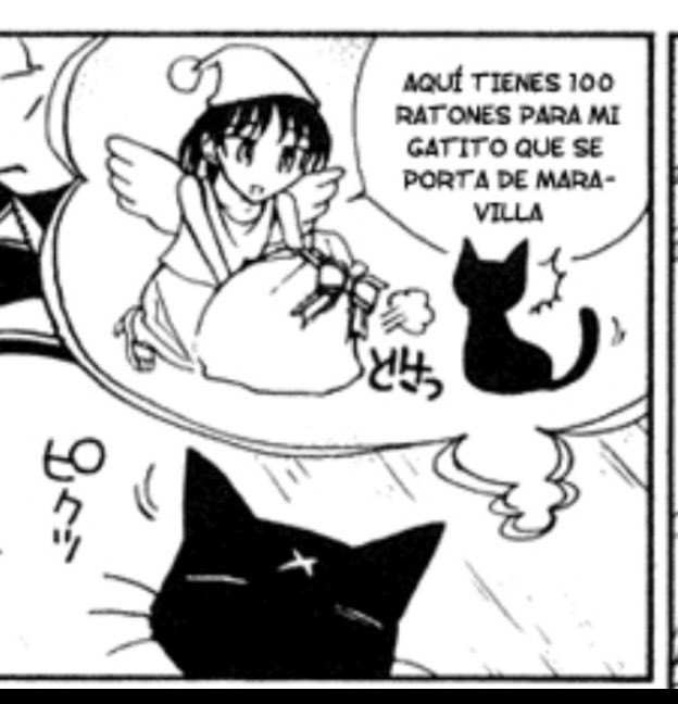 S8_CU's tweet image. En el sueño de mi gato