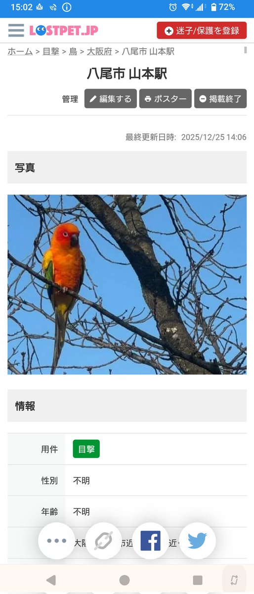 Jオカメインコ迷子香川県 (@J57856747) / Posts / X