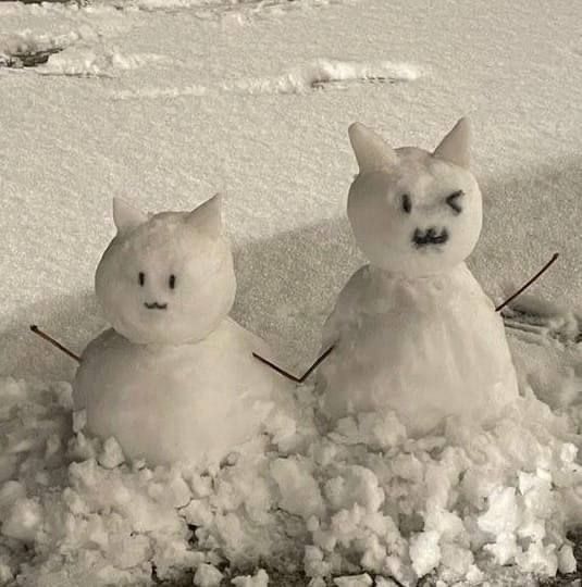 DEVLSKISSER's tweet image. ͏ ͏ ͏ ͏ ͏
与我深爱之人共度圣诞!  
@shizigeneral  ♡  ⛄  🎄
͏ ͏ ͏ ͏ ͏͏ ͏ ͏ ͏ ͏͏ ͏ ͏ ͏ ͏