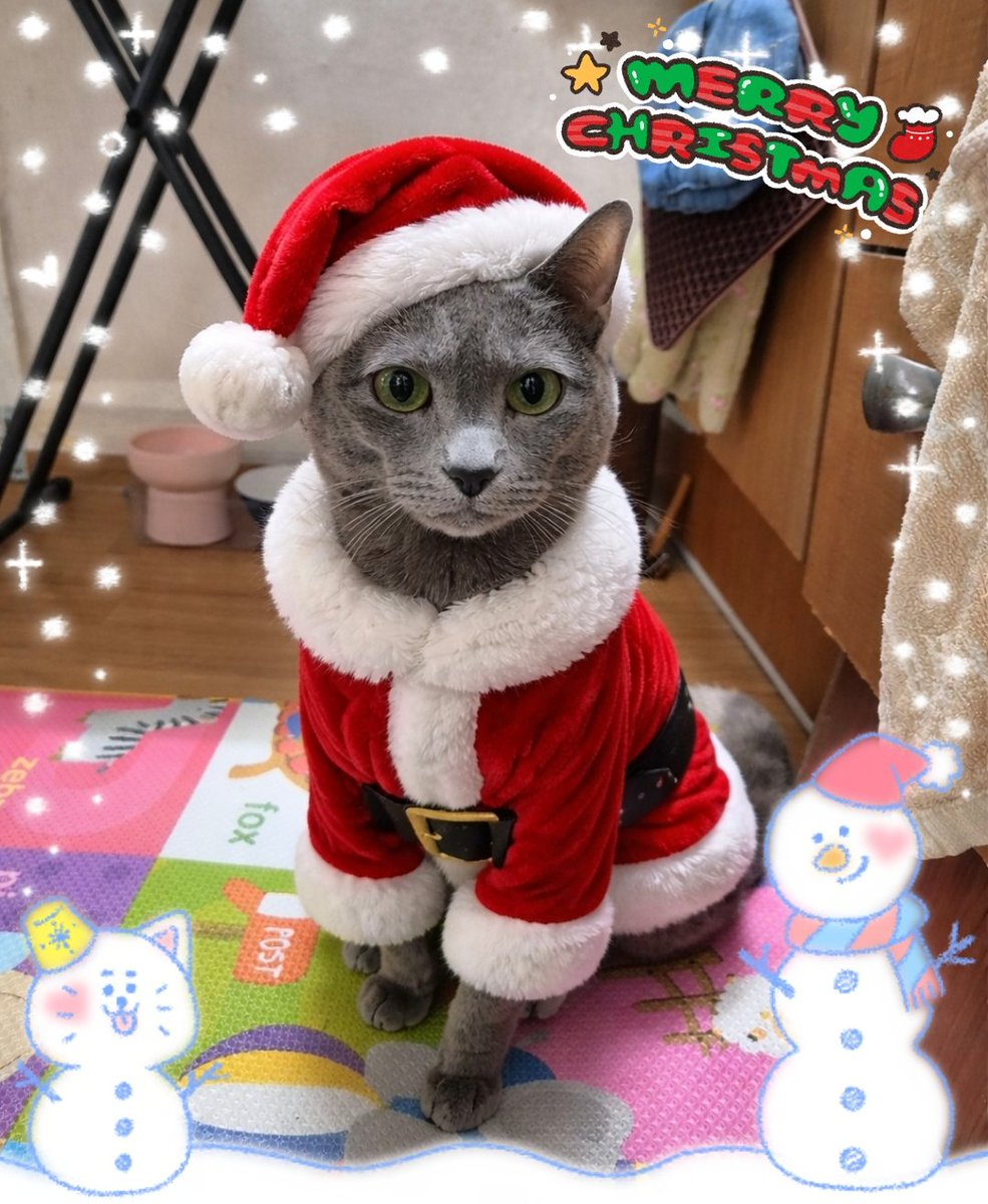 도미짱☆ tweet media