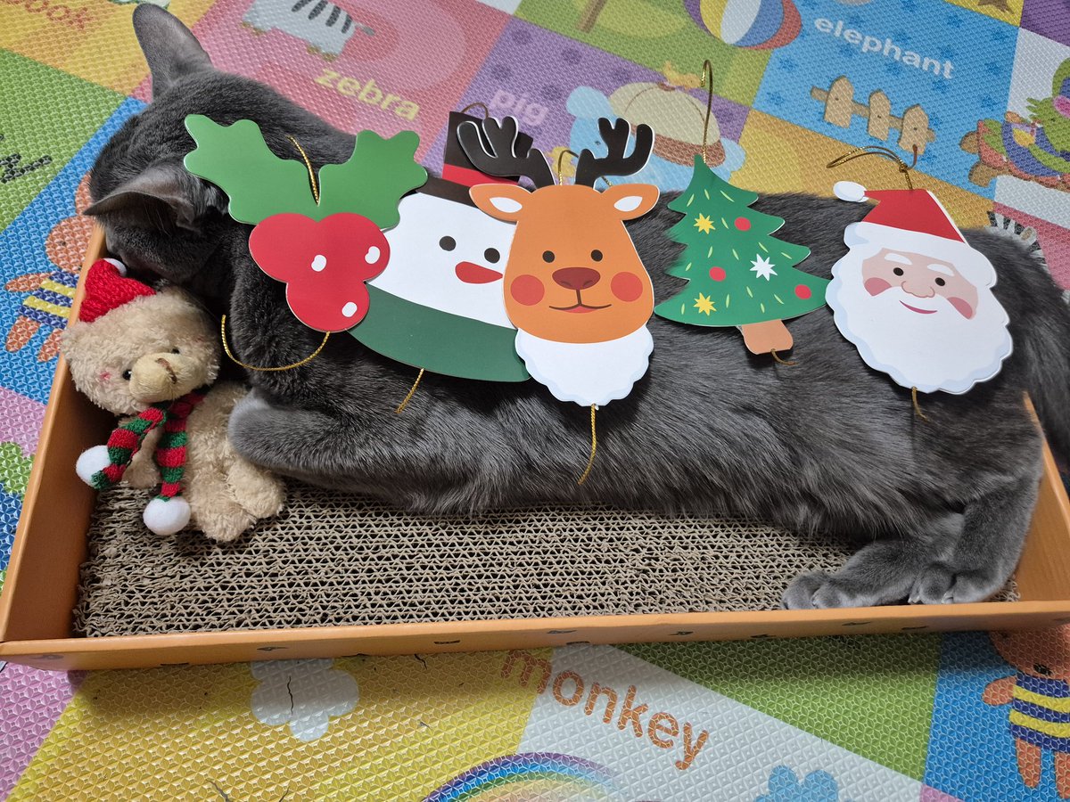 도미짱☆ tweet media