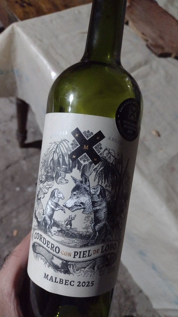 Marcos Cuello (Makasu) tweet media