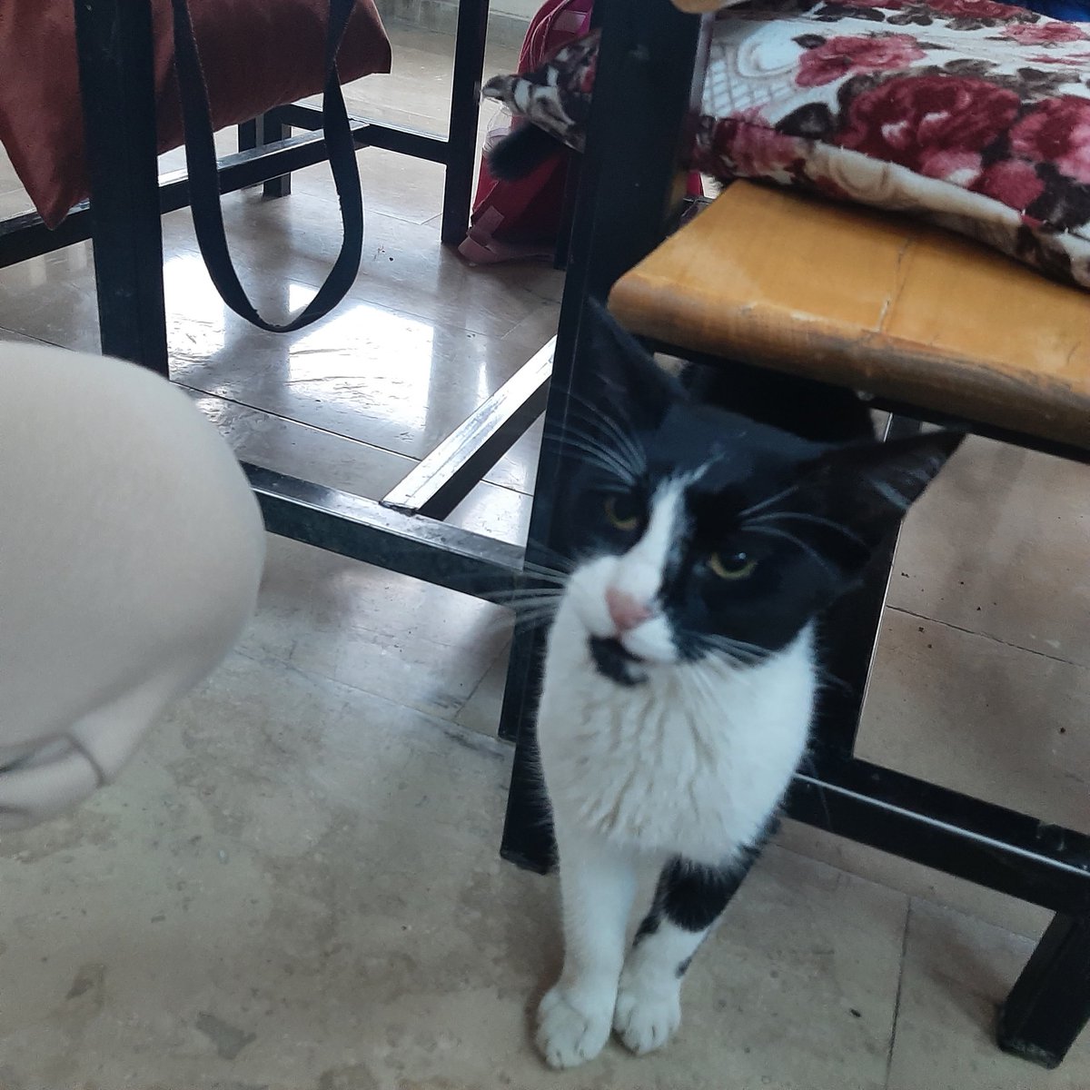 +1 öğrenciyle derse devam😄 çantasını evde unutmuş ama olsun🥰🥰