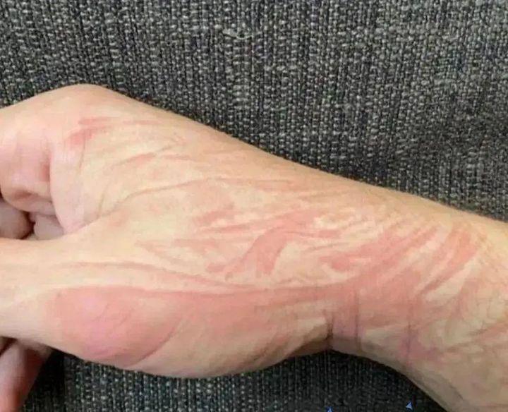 graciell__'s tweet image. POV: the best nap ever