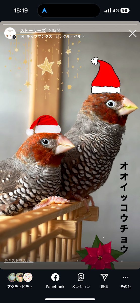 オオイッコウチョウより

メリークリスマス🌲💡🎁