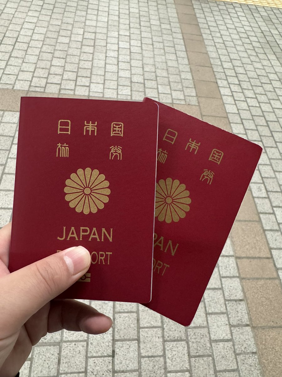 【専用】こんにちわんこそば様　完成 HAYASIGAWA (@neogodgundam) / Posts / X