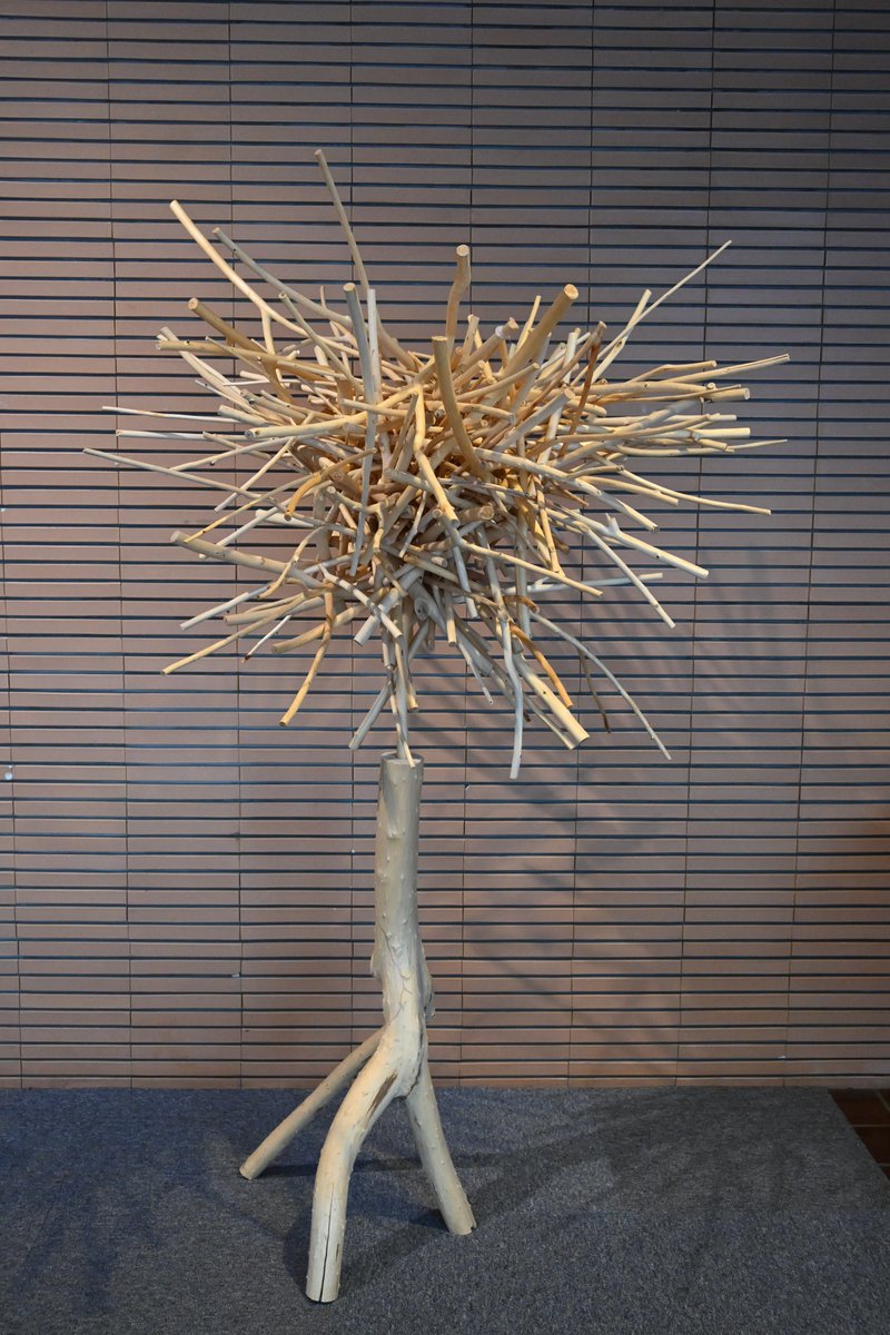 【#今日の樹華】
11日目。
横に広がっていた形が、少しだけ縮まりました。

#旭川美術館　#砂澤ビッキ