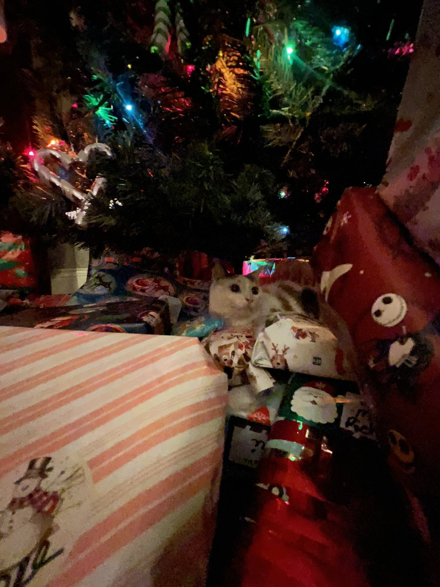 shellsncheeseee's tweet image. She loves crimbus