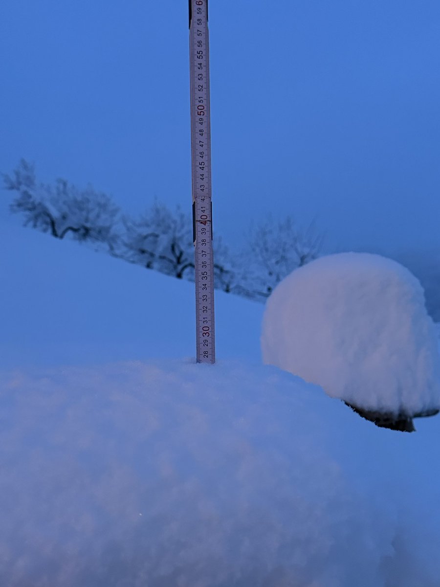 SSkergeth66391's tweet photo. Heavy Snowfall ❄️
#styria #Gamlitz
#WinterWonderland https://t.co/FOcickcNFh