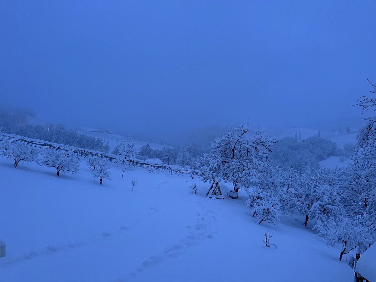SSkergeth66391's tweet photo. Heavy Snowfall ❄️
#styria #Gamlitz
#WinterWonderland https://t.co/FOcickcNFh