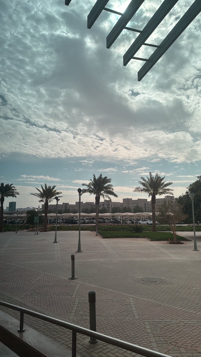 دايم tweet media