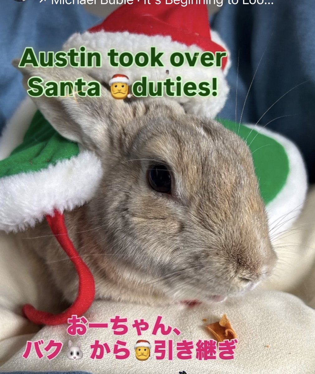 Bugsi has refused to dress up as Santa 7 times already this year