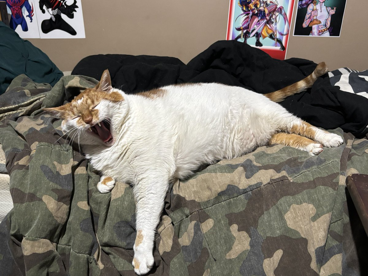 Starting Over tweet media