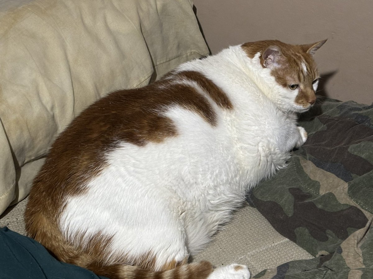 Starting Over tweet media