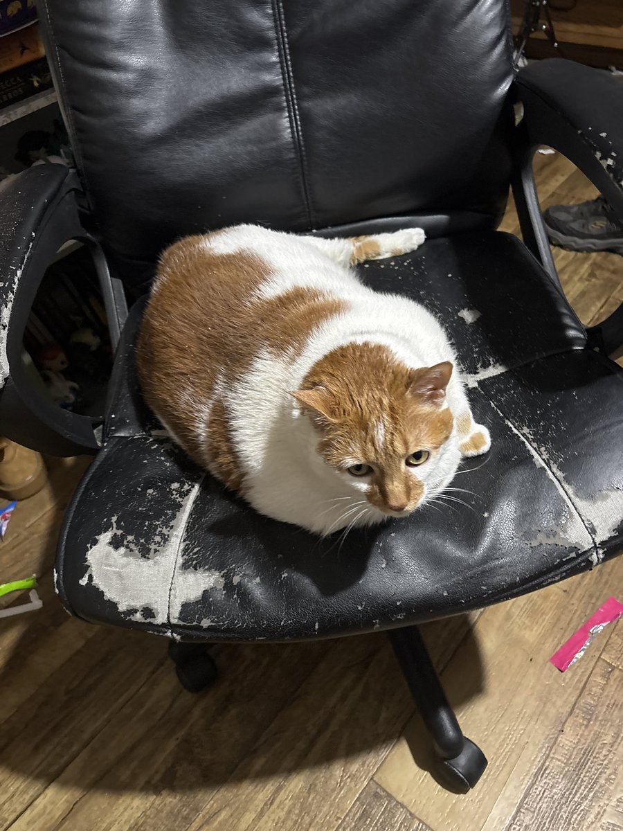 Starting Over tweet media