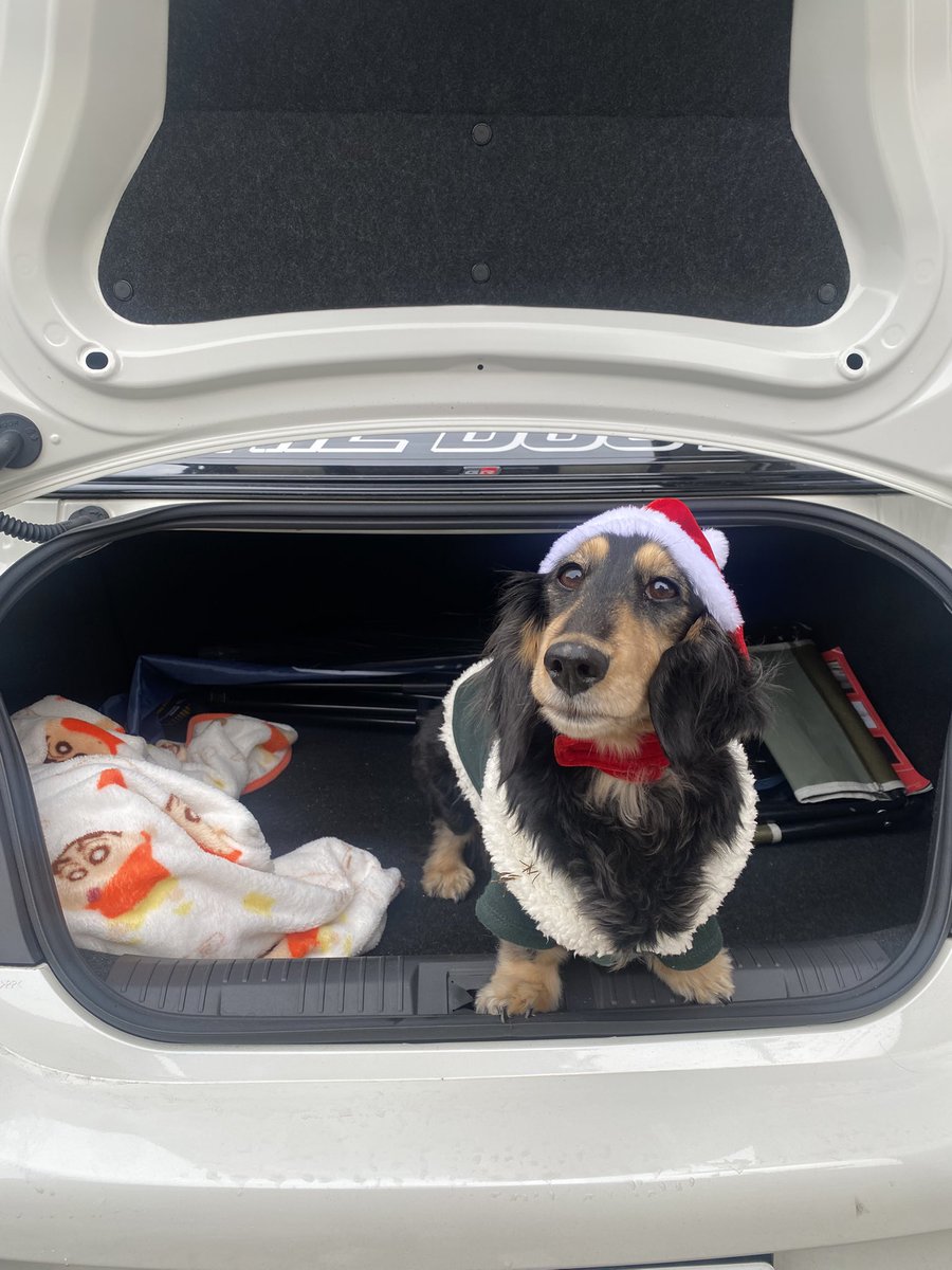 さくらクロース🎅メリークリスマス🎄